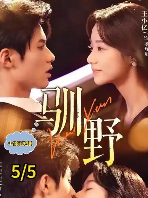 千灯照长安 古装电视剧全集免费看